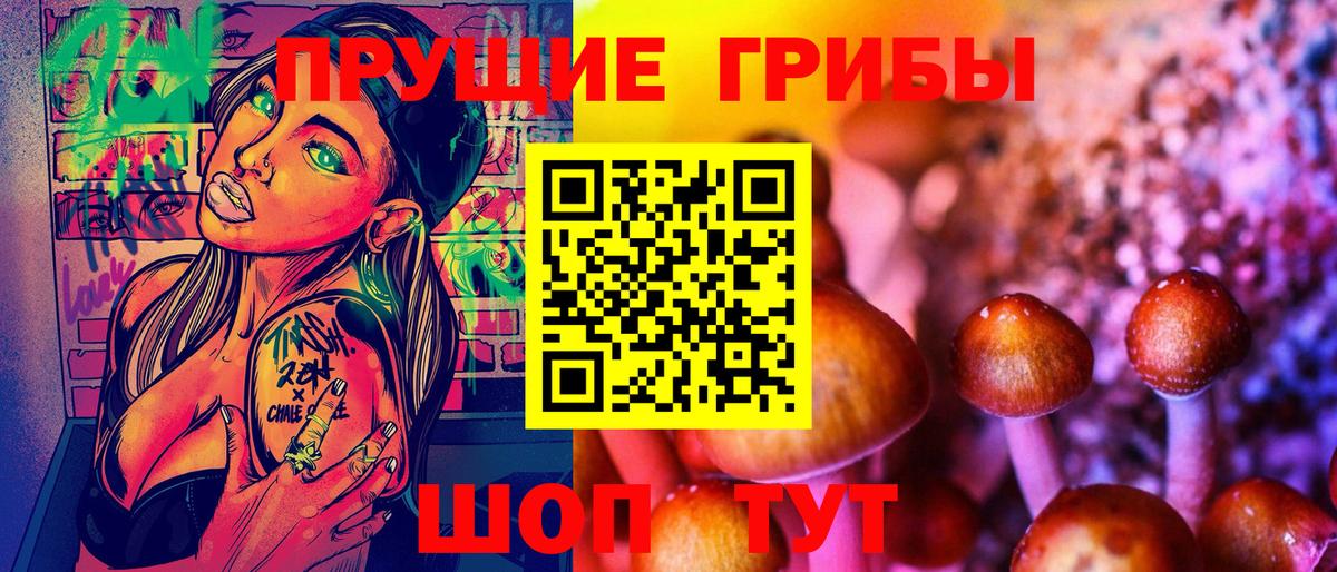 Шебекино  Псилоцибиновые грибы Psilocybe  купить   Вход с VPN 