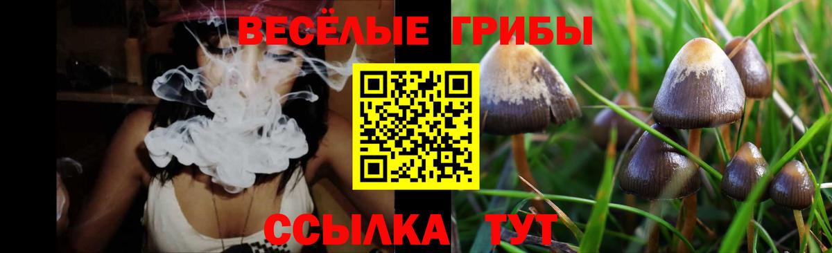 Псилоцибиновые грибы GOLDEN TEACHER Шебекино